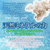 「浴槽掃除いらずな入浴剤 ポードペシェ バスパウダー 泡風呂 保湿 1個（25g×2回分）KGP JAPAN」の商品サムネイル画像3枚目