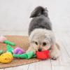 「黄色いチューリップ 1個 犬用 おもちゃ アルクロース」の商品サムネイル画像4枚目