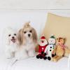 「【アウトレット】パピーのくつした 1個 犬用 おもちゃ アルクロース」の商品サムネイル画像4枚目