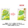「【ワゴンセール】マンナンライフ ララクラッシュ マスカット味 6袋（わけあり品）」の商品サムネイル画像4枚目