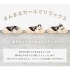 「バリバリベッド カール L ダークブラウン 1個 猫壱」の商品サムネイル画像7枚目