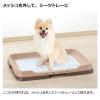 「お掃除簡単ステップ 犬用 トレー レギュラー ダークブラウン 1個 リッチェル」の商品サムネイル画像3枚目