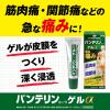 「バンテリンコーワゲルα 35g 興和 ★控除★ 痛み止め 塗り薬 筋肉痛 関節痛【第2類医薬品】」の商品サムネイル画像6枚目