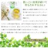 「TTT 世界のお茶巡り ジャスミン茶 ティーバッグ 1袋（20バッグ入）」の商品サムネイル画像4枚目