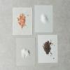 「【ギフト】 生活の木 入浴剤 和漢塩湯 エプソムソルトと生姜 ほぐれる香りの深呼吸 1箱（30g×6包入）」の商品サムネイル画像4枚目