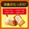「ビスケット クリームサンドクッキー 個包装 お配り菓子 ビスコ メープル 5枚×3パック入 1セット(1箱×3)」の商品サムネイル画像3枚目