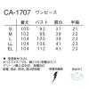 「ナガイレーベン 看護衣半袖 女性用 ブルー LL CA-1707（取寄品）」の商品サムネイル画像3枚目