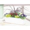 「【園芸用品】アップルウェアークイーンプレート 650型 ホワイト 640×215mm プランター用受皿 ガーデニング」の商品サムネイル画像5枚目