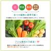 「【園芸用品】協和 ハイポニカ植物活力液 ストレート液 500ml 1本 ガーデニング」の商品サムネイル画像4枚目