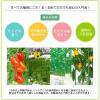 「【園芸用品】協和 ハイポニカ植物活力液 ストレート液 500ml 1本 ガーデニング」の商品サムネイル画像5枚目