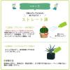 「【園芸用品】協和 ハイポニカ植物活力液 ストレート液 500ml 1本 ガーデニング」の商品サムネイル画像7枚目