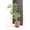 「【園芸用品】アップルウェアークラフトポット 24型 ダークブラウン 6L 240mmΦ×260mm 鉢 ガーデニング」の商品サムネイル画像7枚目