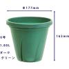 「【園芸用品】大和プラスチック 根はり鉢 6号 ダークグリーン 1.8L ガーデニング」の商品サムネイル画像2枚目
