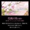 「バブ 至福の花めぐり浴 1箱（12錠入） 入浴剤 透明タイプ 花王」の商品サムネイル画像5枚目