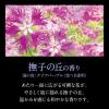 「バブ 至福の花めぐり浴 1箱（12錠入） 入浴剤 透明タイプ 花王」の商品サムネイル画像6枚目