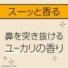 「マモルーム Feat. アレルブロック ハウスダスト・花粉用 2ヵ月用 取替えボトル 1セット（3個） 花粉対策 室内 アース製薬」の商品サムネイル画像7枚目