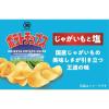「【ワゴンセール】小袋 ポテトチップス じゃがいもと塩 6袋 湖池屋（わけあり品）」の商品サムネイル画像5枚目
