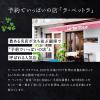 「【ワゴンセール】エスビー食品 予約でいっぱいの店の Formaggio サーモンのバジルソース 1個（わけあり品）」の商品サムネイル画像5枚目