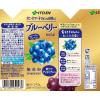「【ワゴンセール】ブルーベリーミックス エコパック (紙パック) 200ml 1セット（48本）（わけあり品）」の商品サムネイル画像8枚目