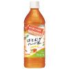 「ダイドードリンコ 肌美精監修 はとむぎブレンド茶 1セット（1本（500ml）×6） 機能性表示食品」の商品サムネイル画像2枚目