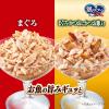 「銀のスプーン 2種アソート まぐろ＆かつお 総合栄養食（55g×4個パック）3袋 ユニ・チャーム キャットフード 猫用 ウェット」の商品サムネイル画像4枚目