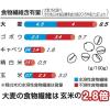 「はくばく 米粒麦 800g 6袋 雑穀」の商品サムネイル画像4枚目