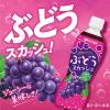 「【ワゴンセール】伊藤園 2種のこだわり ぶどうスカッシュ 450ml 1セット（6本）（わけあり品）」の商品サムネイル画像3枚目