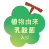 「伊藤園 フルーツティー 月夜のお茶とまた明日 500ml 1セット（6本）」の商品サムネイル画像5枚目