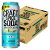 「〈無糖〉ジンソーダ チューハイ サッポロビール クラフトスパイスソーダ 缶 500ml 1箱（24本）」の商品サムネイル画像2枚目