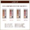 「サナ excel（エクセル） カラーエディットパウダーブロウ ES04（ウィンターモーヴ） 常盤薬品工業」の商品サムネイル画像6枚目