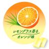 「クロレッツ AROMATIME レモングラス香るオレンジ味ボトル 1個 モンデリ-ズ ガム」の商品サムネイル画像4枚目