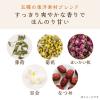 「【ワゴンセール】伊藤園 台湾こころ美茶 キャップ付き 330ml 紙パック 1箱（12本入）（わけあり品）」の商品サムネイル画像4枚目