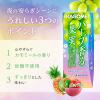 「【ワゴンセール】カゴメ ハーブ香る果実 発酵白ぶどう＆カモミールBlend 195ml 1箱（24本入）（わけあり品）」の商品サムネイル画像4枚目
