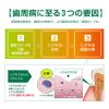 「歯磨き粉 ガム ハグキラボ デンタルペースト メディカルハーブミント 85g サンスター GUM 歯周病予防 高濃度フッ素配合」の商品サムネイル画像3枚目