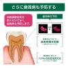 「歯磨き粉 ガム 知覚過敏ラボ デンタルペースト リフレッシュシトラス 90g サンスター GUM 高濃度フッ素配合 歯周病予防」の商品サムネイル画像5枚目