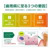 「歯磨き粉 ガム ハグキラボ デンタルペースト ナチュラルハーブミント 85g サンスター GUM 歯周病予防 高濃度フッ素配合」の商品サムネイル画像4枚目