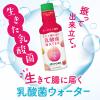 「【アウトレット】伊藤園　パウダーイン 生きて腸に届く乳酸菌 WATER　190ml」の商品サムネイル画像3枚目
