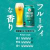 「クラフトビール SPRING VALLEY JAPAN ALE（スプリングバレー） ＜香＞ 缶 350ml 2ケース（48本）」の商品サムネイル画像6枚目