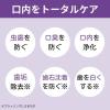 「マウスウォッシュ ボトル 薬用デンタライフ トータルケア ストロングミント 強アルコール 1000ml ロケット石鹸」の商品サムネイル画像3枚目