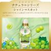 「【アウトレット】レノアハピネス 夢ふわタッチ シャインマスカット 詰め替え 超特大 1220mL 1セット（5個） 柔軟剤 P＆G【旧品】」の商品サムネイル画像9枚目