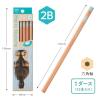「トンボ鉛筆 かきかた鉛筆ハローネイチャー2 ラッコ2B KB-KHNST2-2B 1ダース(12本入)」の商品サムネイル画像2枚目