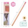 「トンボ鉛筆 かきかた鉛筆ハローネイチャー2 アザラシ2B KB-KHNSE2-2B 1ダース(12本入)」の商品サムネイル画像2枚目