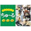 「いなば ちゅーる 犬 総合栄養食 まぐろ 国産 14g×4本 6袋 ちゅ~る ドッグフード ウェット おやつ」の商品サムネイル画像6枚目