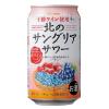 「チューハイ 酎ハイ サワー セコマ 北海道 北のサングリアサワー 350ml 缶 1箱（24本）」の商品サムネイル画像2枚目