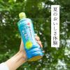 「【ワゴンセール】伊藤園 氷水出し 抹茶入り おーいお茶 600ml 1セット（6本）（わけあり品）」の商品サムネイル画像4枚目