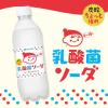 「伊藤園 チチヤス 乳酸菌ソーダ ちょっと強め 500ml 1箱（24本入）」の商品サムネイル画像3枚目