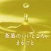 「キリンビバレッジ キリン 生茶 300ml 1セット（48本） お茶 緑茶 ペットボトル」の商品サムネイル画像7枚目