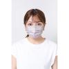 「Kirei Mask（キレイマスク） コーディネートカラー（ラベンダー・モカ）すこし小さめ 1箱（40枚入） 川本産業 カラーマスク」の商品サムネイル画像5枚目