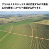 「【ワゴンセール】タリーズコーヒージャパン タリーズ ブラジル ファゼンダバウ 1袋（200g）（わけあり品）」の商品サムネイル画像3枚目