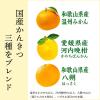 「伊藤園 かんきつトリオ 国産 400g ニッポンエール ペットボトル 1箱（24本入）」の商品サムネイル画像4枚目